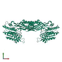 Homo dimeric assembly 1 of PDB entry 1r3n coloured by chemically distinct molecules, front view.