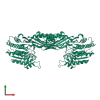 Homo dimeric assembly 2 of PDB entry 1r3n coloured by chemically distinct molecules, front view.