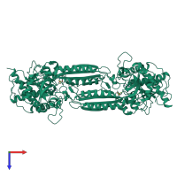 Homo dimeric assembly 3 of PDB entry 1r3n coloured by chemically distinct molecules, top view.