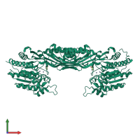Homo dimeric assembly 4 of PDB entry 1r3n coloured by chemically distinct molecules, front view.