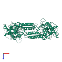 Homo dimeric assembly 4 of PDB entry 1r3n coloured by chemically distinct molecules, top view.