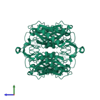 Hypoxanthine phosphoribosyltransferase in PDB entry 1r3u, assembly 1, side view.