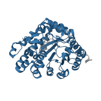 The deposited structure of PDB entry 1r3v contains 1 copy of Pfam domain PF01208 (Uroporphyrinogen decarboxylase (URO-D)) in Uroporphyrinogen decarboxylase. Showing 1 copy in chain A.