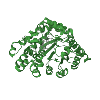 The deposited structure of PDB entry 1r3v contains 1 copy of SCOP domain 51727 (Uroporphyrinogen decarboxylase, UROD) in Uroporphyrinogen decarboxylase. Showing 1 copy in chain A.