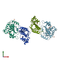 PDB entry 1r45 coloured by chain, front view.