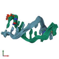 PDB entry 1r4d coloured by chain, ensemble of 11 models, front view.