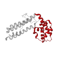 The deposited structure of PDB entry 1r5i contains 2 copies of CATH domain 1.10.10.530 (Arc Repressor Mutant, subunit A) in Superantigen. Showing 1 copy in chain D.