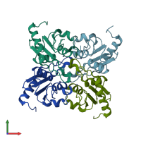 PDB entry 1r5t coloured by chain, front view.