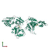 PDB entry 1r6b coloured by chain, front view.