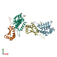 PDB entry 1r6q coloured by chain, front view.