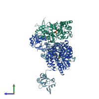PDB entry 1r6z coloured by chain, side view.