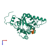 PDB entry 1r80 coloured by chain, top view.