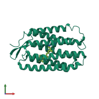 PDB entry 1r84 coloured by chain, ensemble of 12 models, front view.
