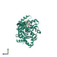 PDB entry 1r8c coloured by chain, side view.