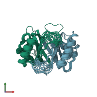 PDB entry 1r8p coloured by chain, ensemble of 20 models, front view.