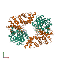 Hetero tetrameric assembly 2 of PDB entry 1r8s coloured by chemically distinct molecules, front view.
