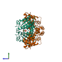 Hetero tetrameric assembly 2 of PDB entry 1r8s coloured by chemically distinct molecules, side view.
