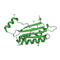 The deposited structure of PDB entry 1r9f contains 1 copy of SCOP domain 103146 (Tombusvirus P19 core protein, VP19) in RNA silencing suppressor p19. Showing 1 copy in chain C [auth A].