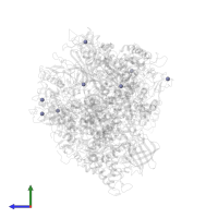 ZINC ION in PDB entry 1r9t, assembly 1, side view.