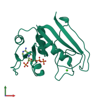 PDB entry 1ra1 coloured by chain, front view.