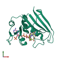 PDB entry 1ra2 coloured by chain, front view.