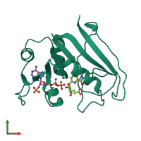PDB entry 1ra8 coloured by chain, front view.