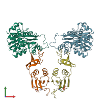PDB entry 1rac coloured by chain, front view.