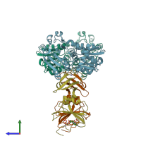 PDB entry 1rac coloured by chain, side view.
