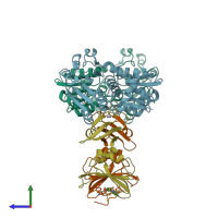 PDB entry 1rai coloured by chain, side view.