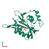 PDB entry 1rao coloured by chain, front view.