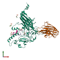 PDB entry 1rb8 coloured by chain, front view.