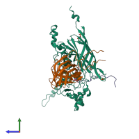 PDB entry 1rb8 coloured by chain, side view.