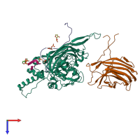 PDB entry 1rb8 coloured by chain, top view.