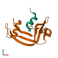 PDB entry 1rbd coloured by chain, front view.