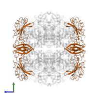 Ribulose bisphosphate carboxylase small subunit in PDB entry 1rbl, assembly 1, side view.