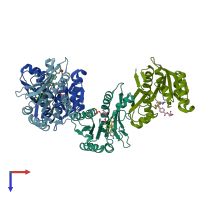 PDB entry 1rby coloured by chain, top view.