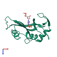 PDB entry 1rca coloured by chain, top view.
