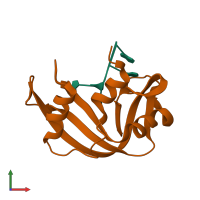 PDB entry 1rcn coloured by chain, front view.