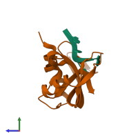 PDB entry 1rcn coloured by chain, side view.