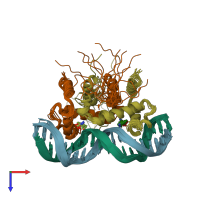 PDB entry 1rcs coloured by chain, ensemble of 15 models, top view.