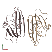 PDB entry 1rdh coloured by chain, front view.