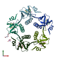 PDB entry 1rdp coloured by chain, front view.