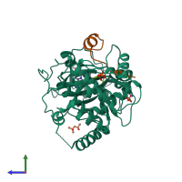 PDB entry 1rdq coloured by chain, side view.