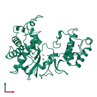 PDB entry 1rdr coloured by chain, front view.