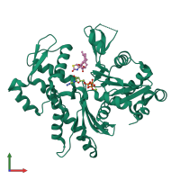 PDB entry 1rdw coloured by chain, front view.