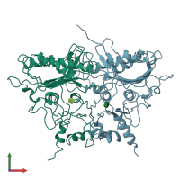 PDB entry 1rdx coloured by chain, front view.