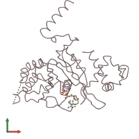 PDB entry 1rea coloured by chain, front view.