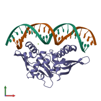 PDB entry 1rep coloured by chain, front view.