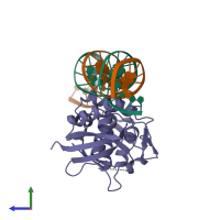 PDB entry 1rep coloured by chain, side view.