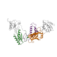 The deposited structure of PDB entry 1rev contains 3 copies of CATH domain 3.30.70.270 (Alpha-Beta Plaits) in Reverse transcriptase/ribonuclease H. Showing 3 copies in chain A.